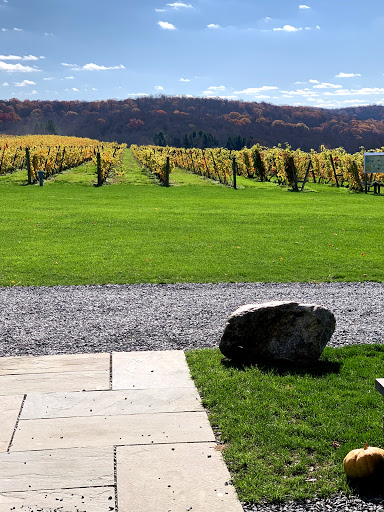 Winery «Millbrook Vineyards & Winery», reviews and photos, 26 Wing Rd, Millbrook, NY 12545, USA