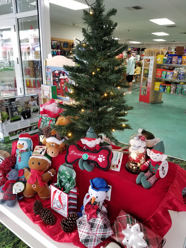  «Animal Crackers», reviews and photos, 280 NE 2nd St, Miami, FL 33132, USA