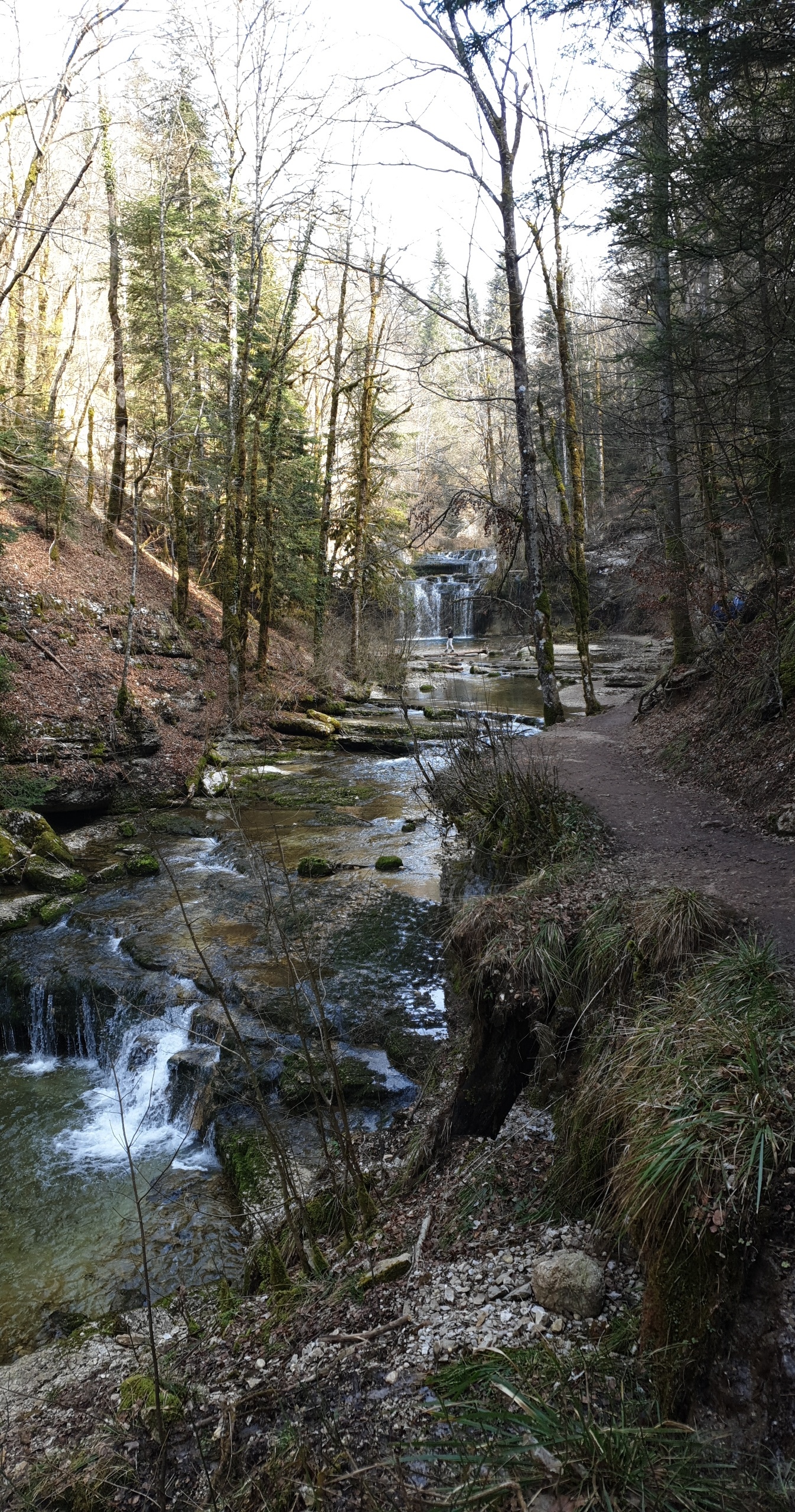 Photo n° 19 de l'avis de pirrera.o fait le 12/03/2021 à 07:17