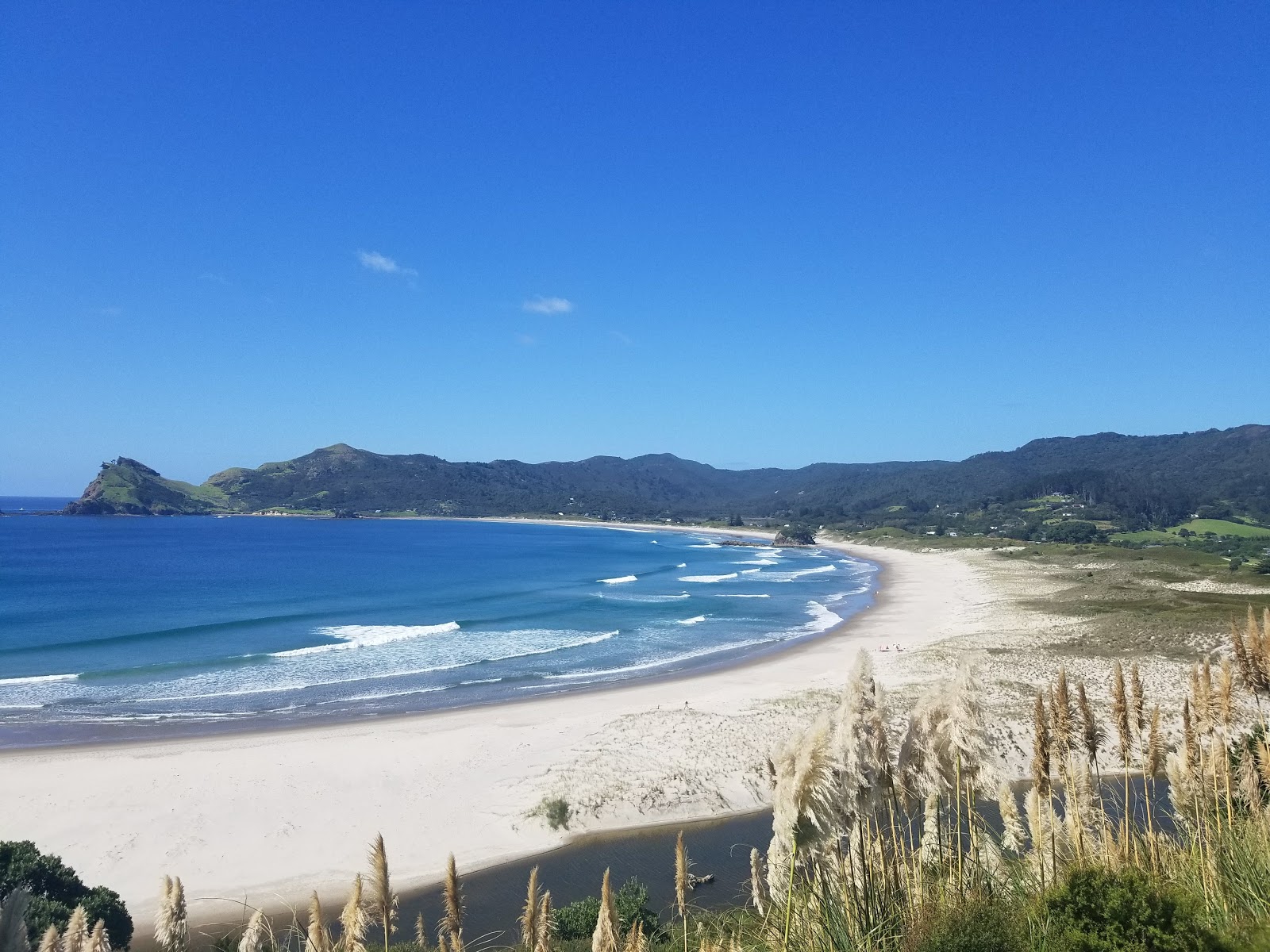 Medlands Beach的照片 具有非常干净级别的清洁度