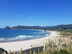 Medlands Beach的照片 具有非常干净级别的清洁度