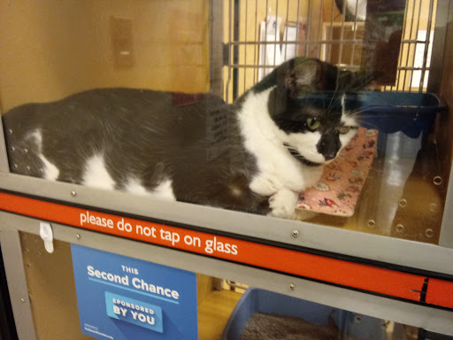 Pet Supply Store «PetSmart», reviews and photos, 1232 Hooper Ave, Toms River, NJ 08753, USA