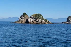 National Marine Park Islands of Currais image