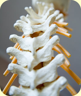 Chiropractor «Vancouver Spinal Care», reviews and photos, 1610 C St #103, Vancouver, WA 98663, USA