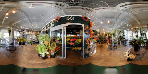 Florist «Tipton & Hurst - The Heights», reviews and photos, 1801 N Grant St, Little Rock, AR 72207, USA
