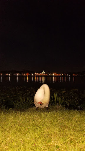 Tattoo Shop «Gaslight Tattoo Company», reviews and photos, 509 Florida Ave S, Lakeland, FL 33801, USA