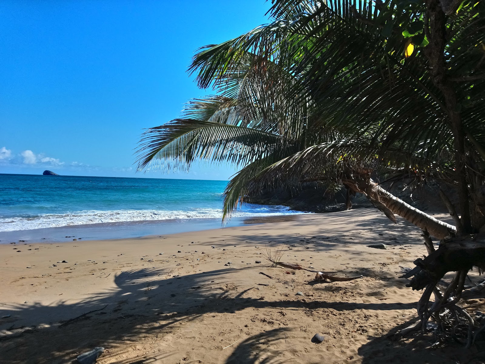 Foto von Plage du Grand Bas-Vent wilde gegend