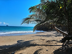Plage du Grand Bas-Vent'in fotoğrafı vahşi alan