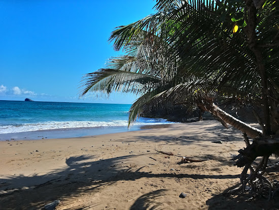 Plage du Grand Bas-Vent