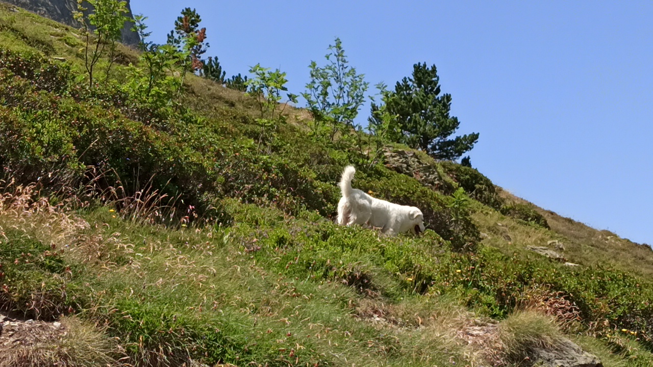 Photo n° 22 de l'avis de Georges.N fait le 27/07/2022 à 16:57