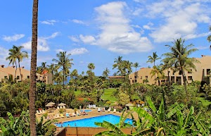 Kamaole Sands - photo 7
