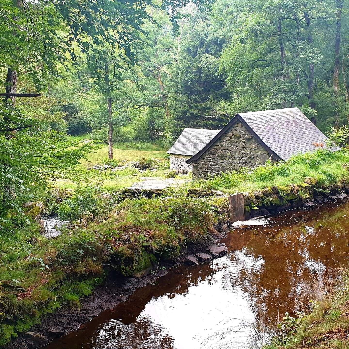 Photo n° 2 de l'avis de sacha. fait le 18/08/2021 à 23:17