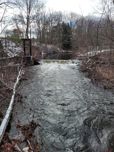 Disc Golf Course «Bellamy Park Disc Golf», reviews and photos, Bellamy Rd, Dover, NH 03820, USA