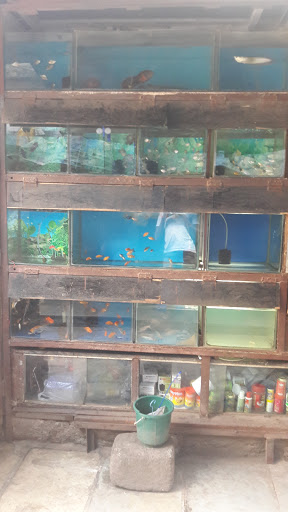 Sameer Aquarium And Pet Shop