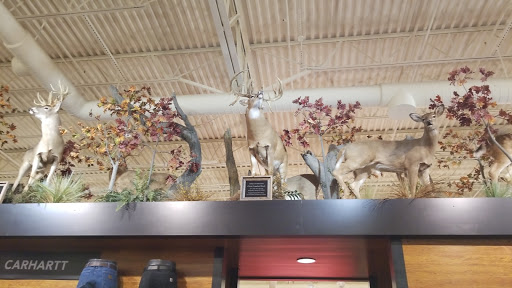 Outdoor Sports Store «Field & Stream», reviews and photos, 520 Clock Tower Way, Crescent Springs, KY 41017, USA