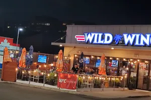 Wild Wing image