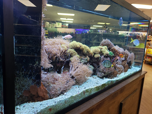 Pet Store «Claremont Pet & Aquarium Center», reviews and photos, 201 Washington St, Claremont, NH 03743, USA