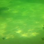 Photo n°31 de l'avis de Heiko. fait le 09/11/2022 à 19:11 sur le  Aquarium Wilhelmshaven incl. Prehistoric Sea Museum à Wilhelmshaven