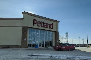 Petland Regent image