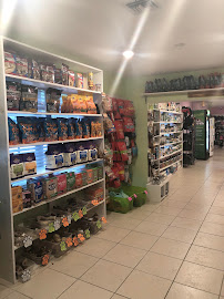 Bark Avenue Healthy Pets - Photo 9 - Car repair in Sebastian, FL, Palm Bay