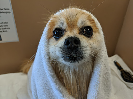 Pet Supply Store «Pet Valu», reviews and photos, 3491 Merchant Boulevard, Abingdon, MD 21009, USA