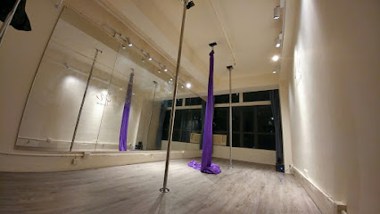 The M Aerial & Pole Studio