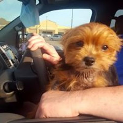 Pet Store «For Healthy Pets!», reviews and photos, 5165 Atlanta Hwy, Montgomery, AL 36109, USA