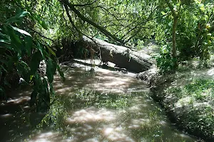 Paseo de La Aguada image