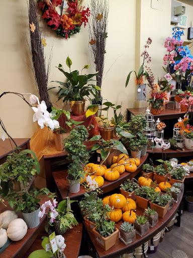 Grocery Store «Safeway», reviews and photos, 16405 CA-116, Guerneville, CA 95446, USA