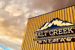 Salt Creek Cinemas image