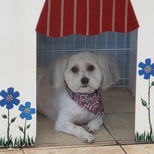 Pet Supply Store «Pet Haven», reviews and photos, 626 N Glenoaks Blvd, Burbank, CA 91502, USA