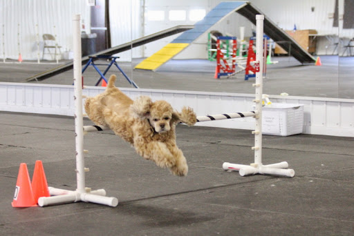 Salisbury Maryland Kennel Club