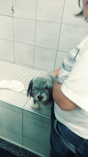 Pet Supply Store «Pet Supplies Plus», reviews and photos, 1377 N 21st St, Newark, OH 43055, USA