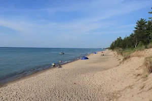 Pinery Provincial Park Dog Beach Area 1 image