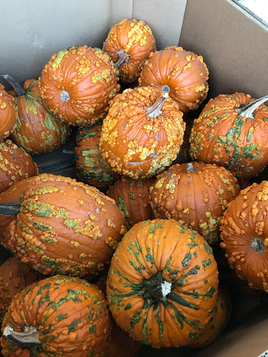 Health Food Store «Sprouts Farmers Market», reviews and photos, 630 San Antonio Rd, Mountain View, CA 94040, USA