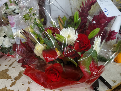 Florist «Blossom Heath Gardens», reviews and photos, 3025 Long Beach Rd, Oceanside, NY 11572, USA
