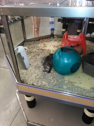 Pet Supply Store «Petco Animal Supplies», reviews and photos, 9350 US 49 a, Gulfport, MS 39503, USA