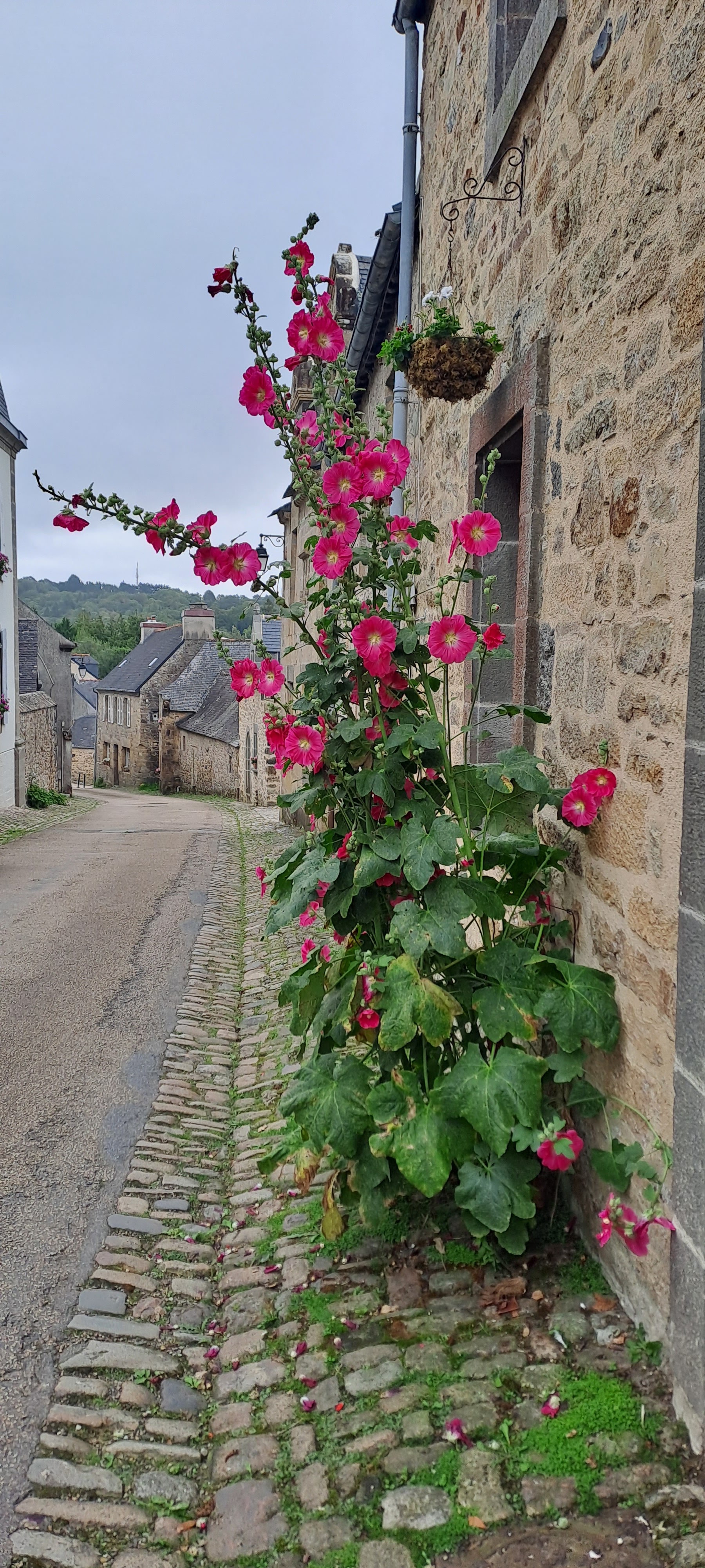 Photo n° 3 de l'avis de Valérie35. fait le 05/08/2023 à 20:57