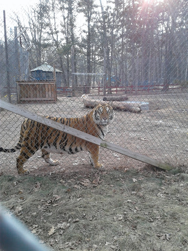 Zoo «Bailiwick Animal Park and Riding Stables», reviews and photos, 118 Castle Rd, Catskill, NY 12414, USA