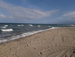 Photo de Primosole beach II avec rivage droit, long