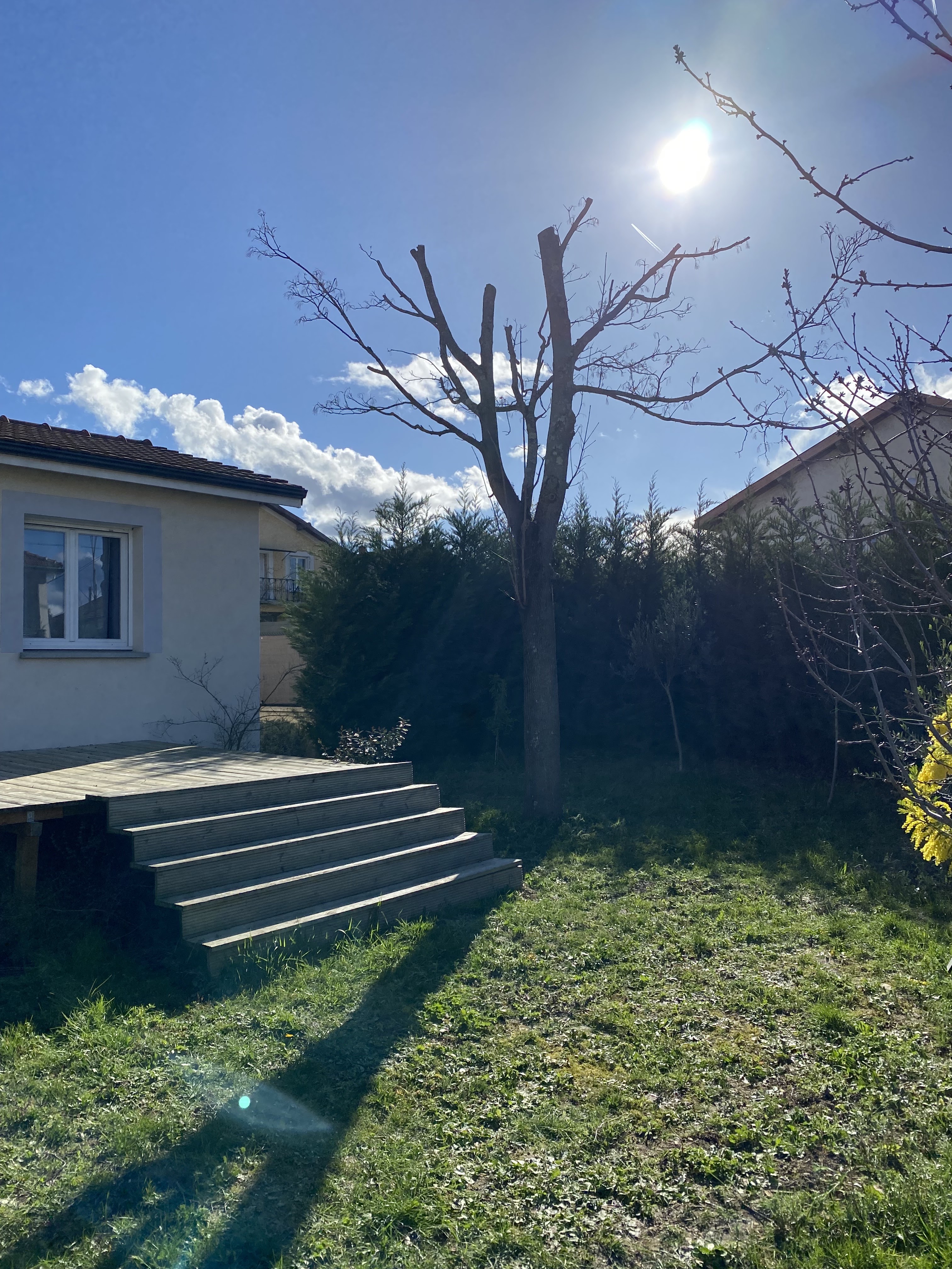 Photo n° 1 de l'avis de Bens.e fait le 26/02/2024 à 14:47