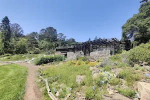 Regional Parks Botanic Garden image