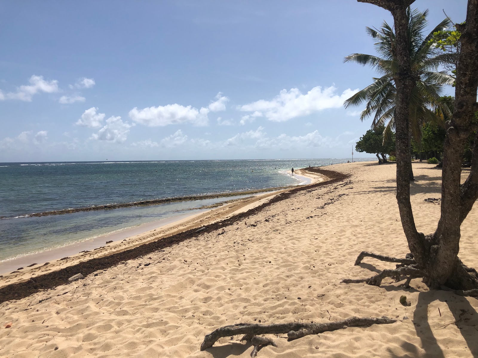 Plage De L'Autre Bord photo #9