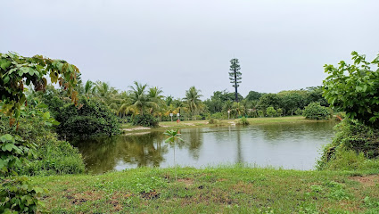 Ubin water pond