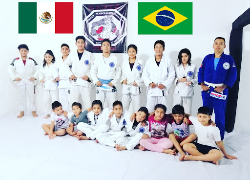 Academia de artes marciales Lobos Team BJJ