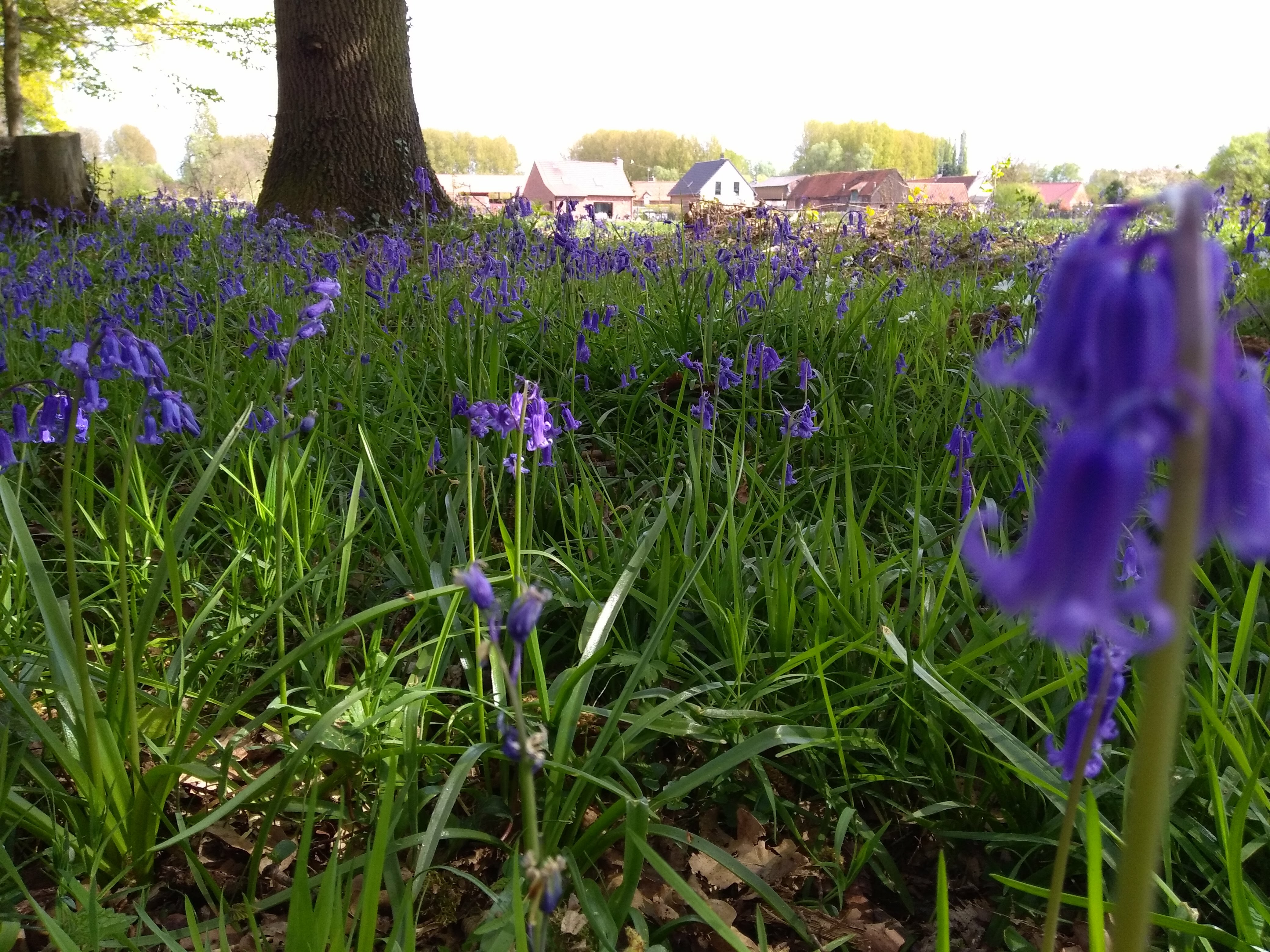 Photo n° 8 de l'avis de Le.� fait le 14/04/2017 à 16:34