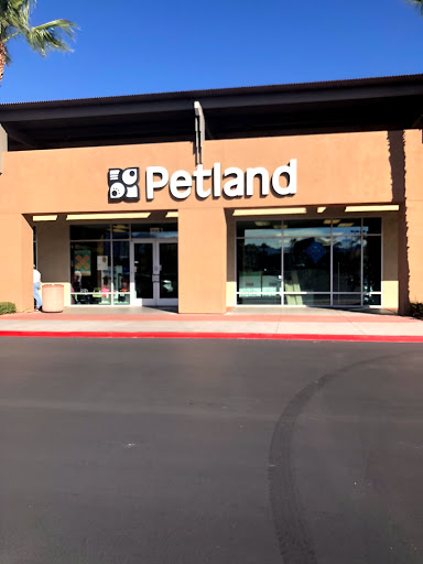 Pet Store «Petland Las Vegas», reviews and photos, 8800 W Charleston Blvd #3, Las Vegas, NV 89145, USA