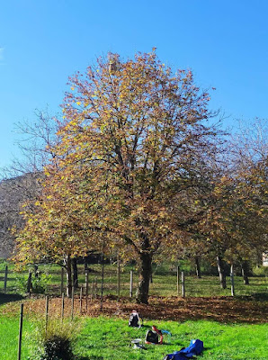 TWH à Causse-et-Diège