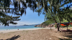 Robinson Beach'in fotoğrafı biraz temiz temizlik seviyesi ile