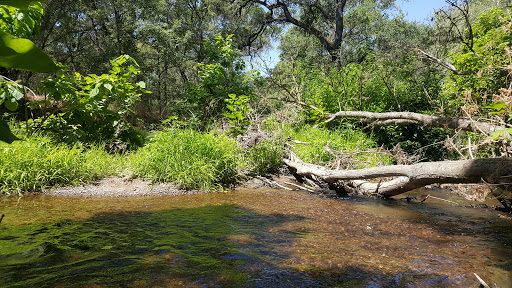 Dry Creek Hiking Trailhead